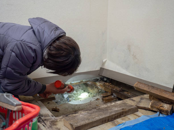Best Attic Mold Removal  in Oak Valley, NJ