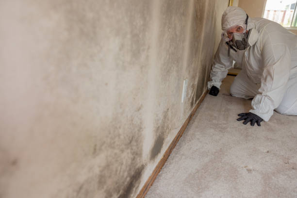 Best Real Estate Mold Inspection  in Oak Valley, NJ